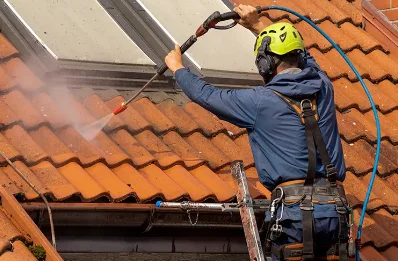 Démoussage et hydrofuge de toiture à Boulc